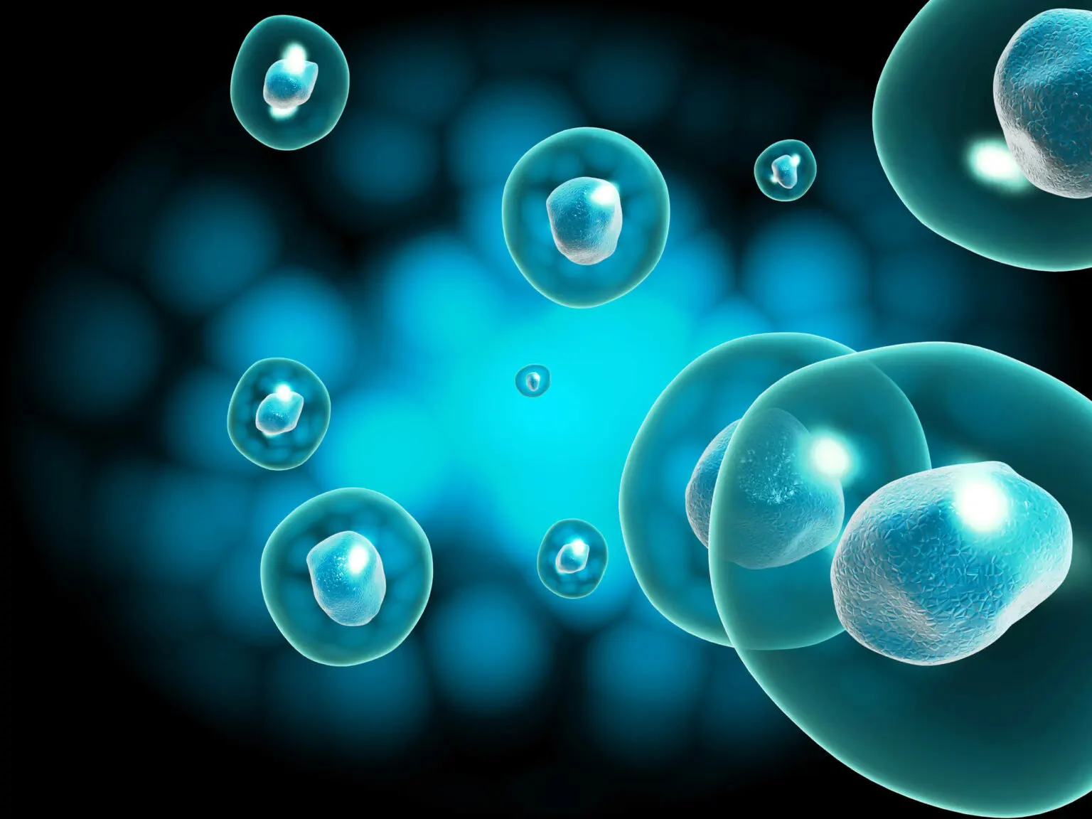 Stem Cell physician Franklin shows stem cells